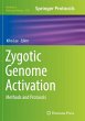 Zygotic Genome Activation - Bild 1