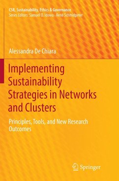 Implementing Sustainability Strategies in Networks and Clusters - De Chiara, Alessandra