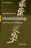 Ichnoentomology