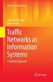 Traffic Networks as Information Systems