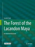 The Forest of the Lacandon Maya