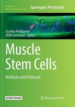 Muscle Stem Cells