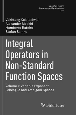 Integral Operators in Non-Standard Function Spaces - Kokilashvili, Vakhtang;Meskhi, Alexander;Rafeiro, Humberto