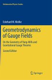 Geometrodynamics of Gauge Fields