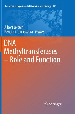 DNA Methyltransferases - Role and Function