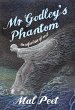 Mr Godley's Phantom (eBook, ePUB) - Bild 1
