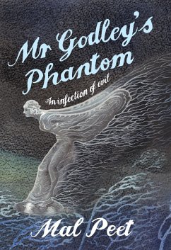 Mr Godley's Phantom (eBook, ePUB) - Peet, Mal