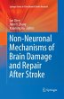 Non-Neuronal Mechanisms of Brain Damage... - Bild 1