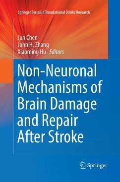 Non-Neuronal Mechanisms of Brain Damage and Repair After Stroke