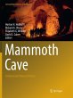 Mammoth Cave - Bild 1