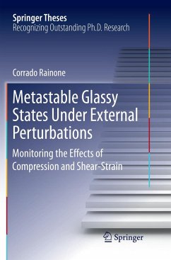 Metastable Glassy States Under External Perturbations - Rainone, Corrado