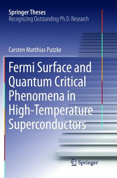 Fermi Surface and Quantum Critical Phenomena of High-Temperature Superconductors - Putzke, Carsten Matthias