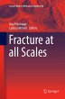 Fracture at all Scales - Bild 1