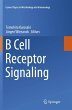 B Cell Receptor Signaling - Bild 1