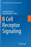 B Cell Receptor Signaling