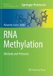 RNA Methylation - Bild 1