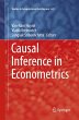 Causal Inference in Econometrics - Bild 1