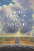 Small Disasters Seen in Sunlight (eBook, ePUB)