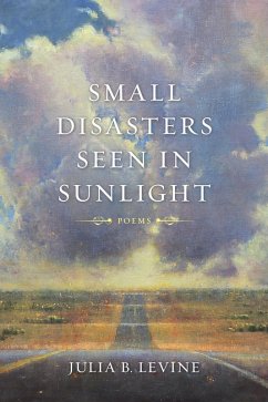 Small Disasters Seen in Sunlight (eBook, ePUB) - Levine, Julia B.