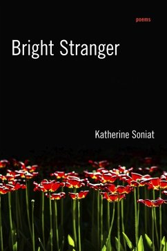 Cover Bright Stranger (eBook, ePUB)