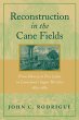 Reconstruction in the Cane Fields... - Bild 1