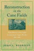 Reconstruction in the Cane Fields (eBook, ePUB)
