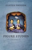 Figure Studies (eBook, ePUB)