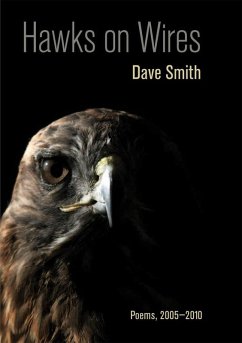 Cover Hawks on Wires (eBook, ePUB)