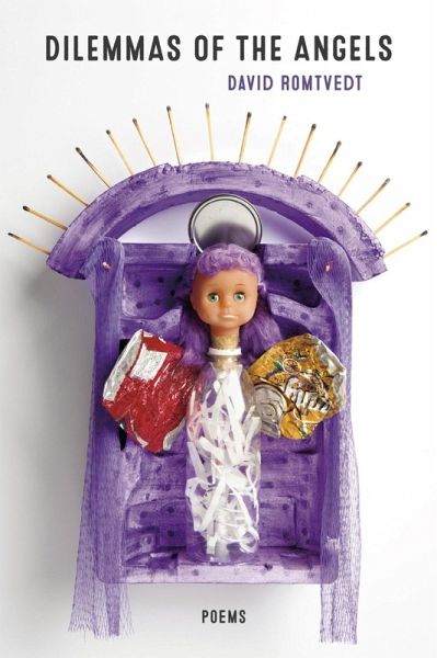 Dilemmas of the Angels (eBook, ePUB)