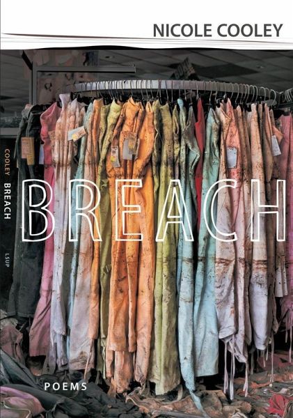 Breach (eBook, ePUB)