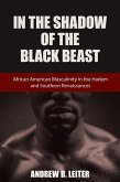 In the Shadow of the Black Beast (eBook, ePUB)