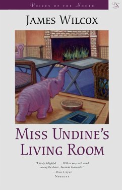 Cover Miss Undine's Living Room (eBook, ePUB)