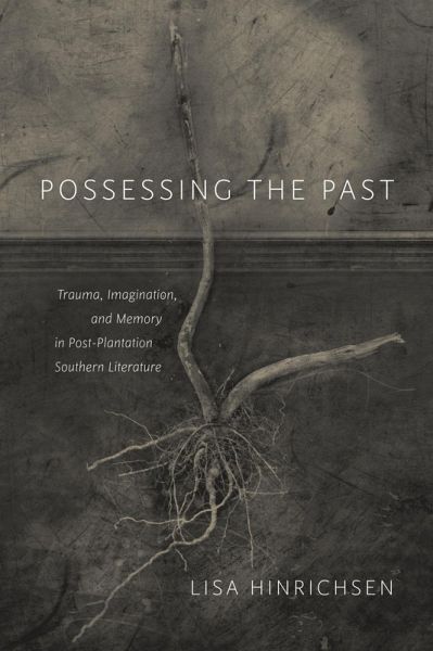 Possessing the Past (eBook, ePUB)