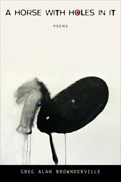 Cover A Horse with Holes in It (eBook, ePUB)