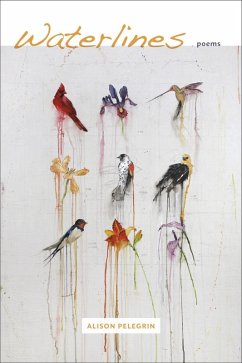 Cover Waterlines (eBook, ePUB)