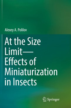 At the Size Limit - Effects of Miniaturization in Insects - Polilov, Alexey A.