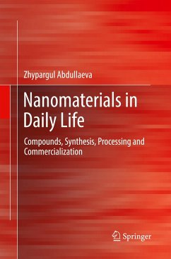 Nanomaterials in Daily Life - Abdullaeva, Zhypargul