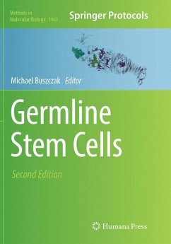 Germline Stem Cells