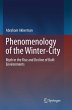 Phenomenology of the Winter-City - Bild 1