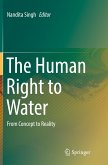 The Human Right to Water