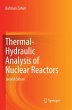 Thermal-Hydraulic Analysis of Nuclear... - Bild 1