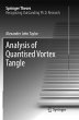 Analysis of Quantised Vortex Tangle - Bild 1