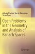 Open Problems in the Geometry and... - Bild 1
