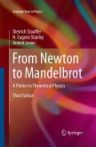 From Newton to Mandelbrot