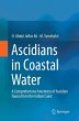 Ascidians in Coastal Water - Bild 1