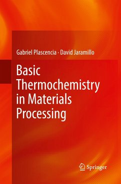 Basic Thermochemistry in Materials Processing - Plascencia, Gabriel;Jaramillo, David