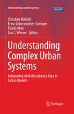 Understanding Complex Urban Systems