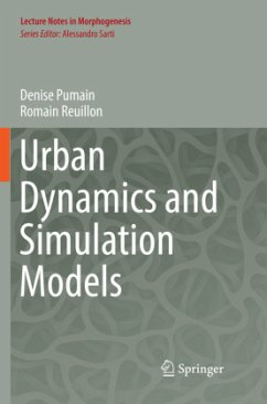 Urban Dynamics and Simulation Models - Pumain, Denise;Reuillon, Romain