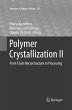 Polymer Crystallization II - Bild 1