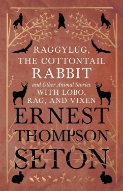 Raggylug, The Cottontail Rabbit and Other Animal Stories with Lobo, Rag, and Vixen - Seton, Ernest Thompson